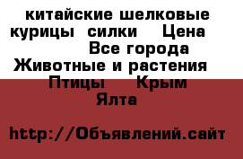 китайские шелковые курицы (силки) › Цена ­ 2 500 - Все города Животные и растения » Птицы   . Крым,Ялта